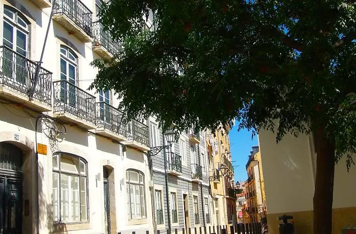 Flores Terrace דירה *